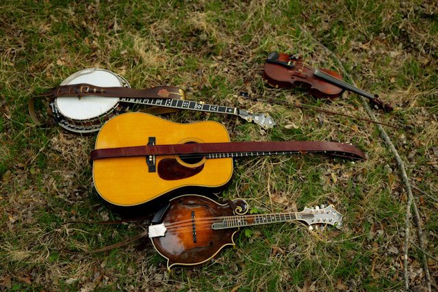 brooke-balentine-instruments-musique-irlandaise-digimonde